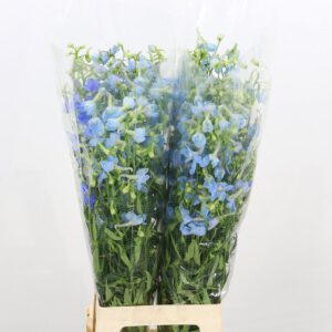 Delphinium Ballkleid